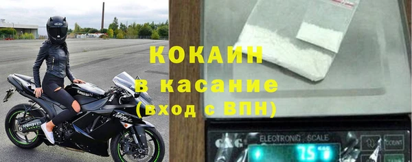 ГАЛЛЮЦИНОГЕННЫЕ ГРИБЫ Арсеньев