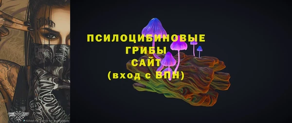 ГАЛЛЮЦИНОГЕННЫЕ ГРИБЫ Арсеньев