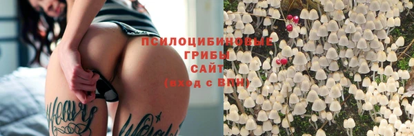 ГАЛЛЮЦИНОГЕННЫЕ ГРИБЫ Арсеньев