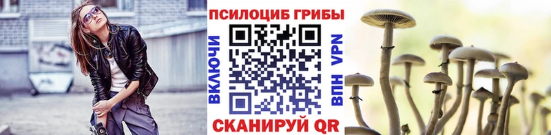 купить наркотик  Облучье  Галлюциногенные грибы Cubensis 